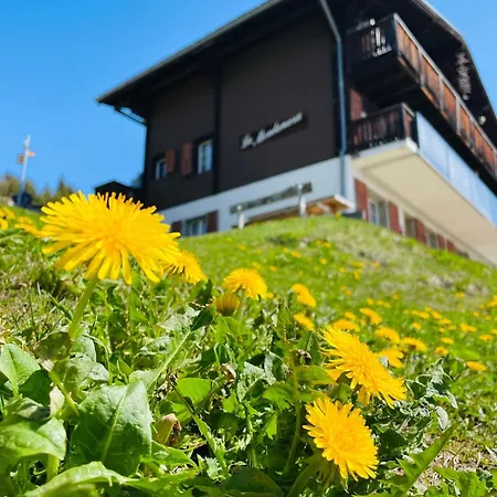 La Montanara Appartement Bettmeralp