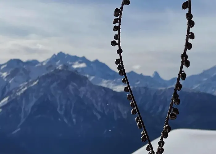 La Montanara Διαμέρισμα